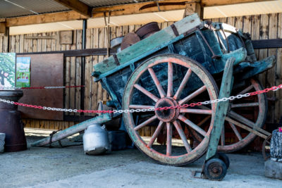 Kerry Creamery Experience Donkey Cart